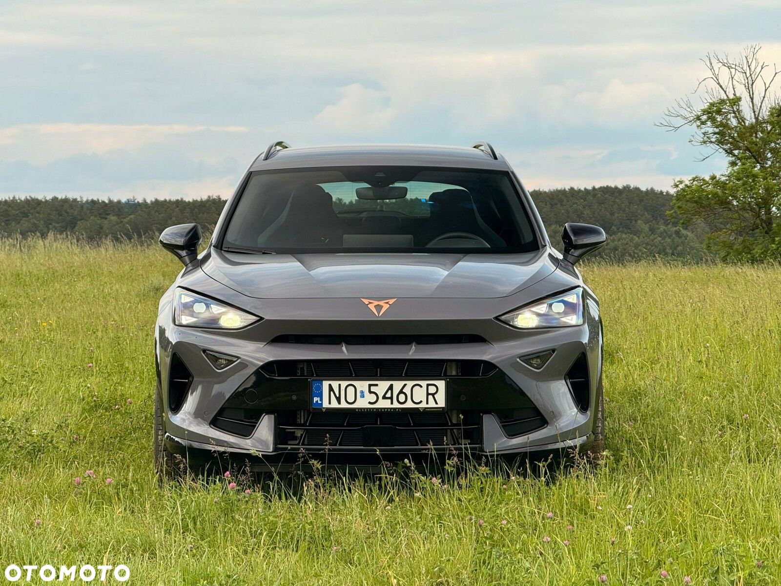 Cupra Formentor - 5