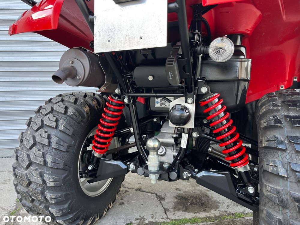 Kawasaki Brute Force - 22