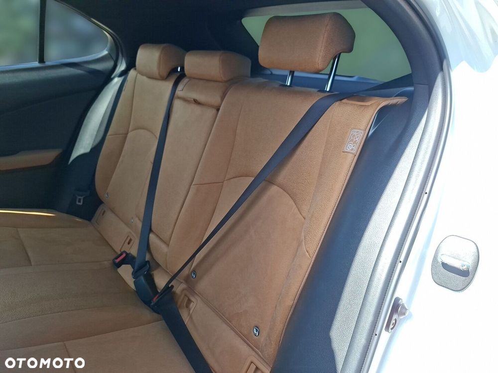 Lexus UX 250h GPF Business 2WD - 14