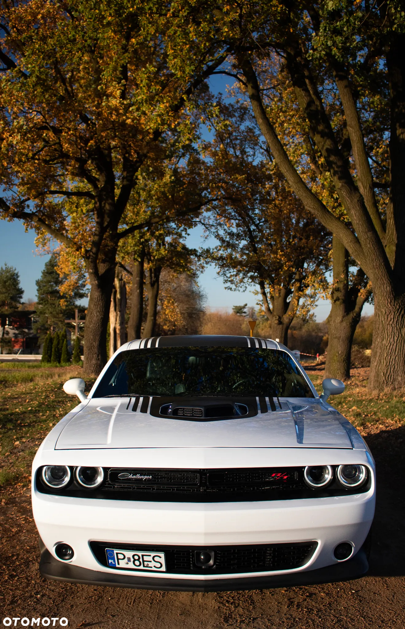 Dodge Challenger Automatik R/T Plus Shaker - 13