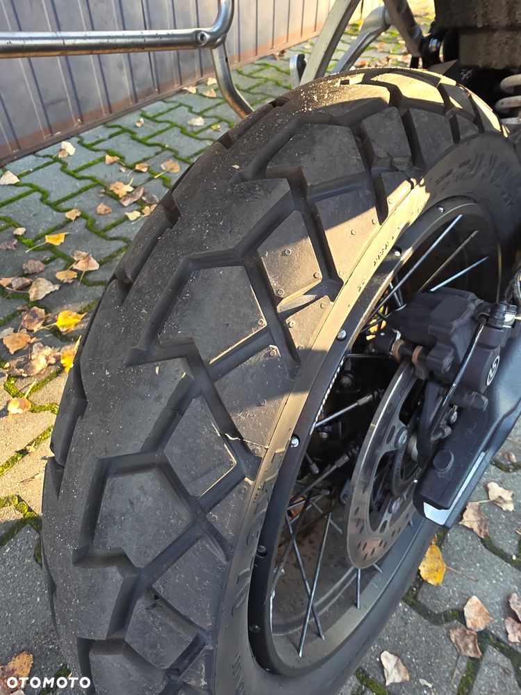 Triumph Tiger - 16