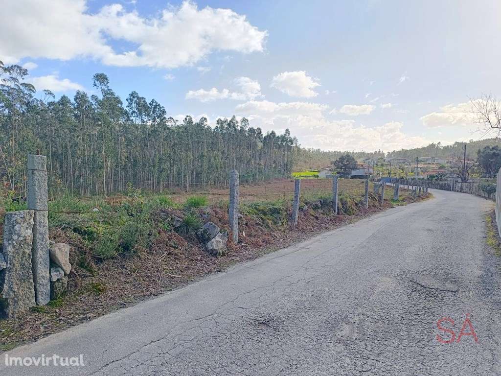 Terreno com 10.796m2 de área total localizado em Barcelos, em Igrej... - Grande imagem: 2/16