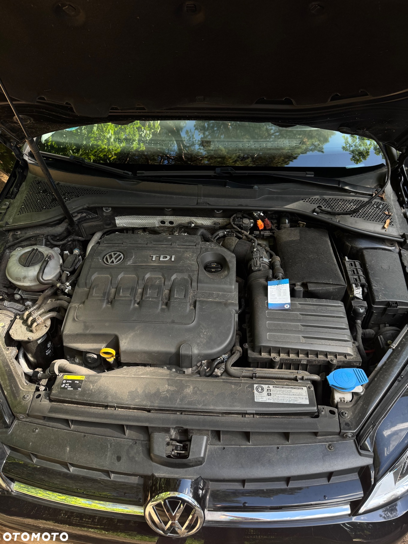 Volkswagen Golf Variant 1.6 TDI DPF 4Motion Highline - 9