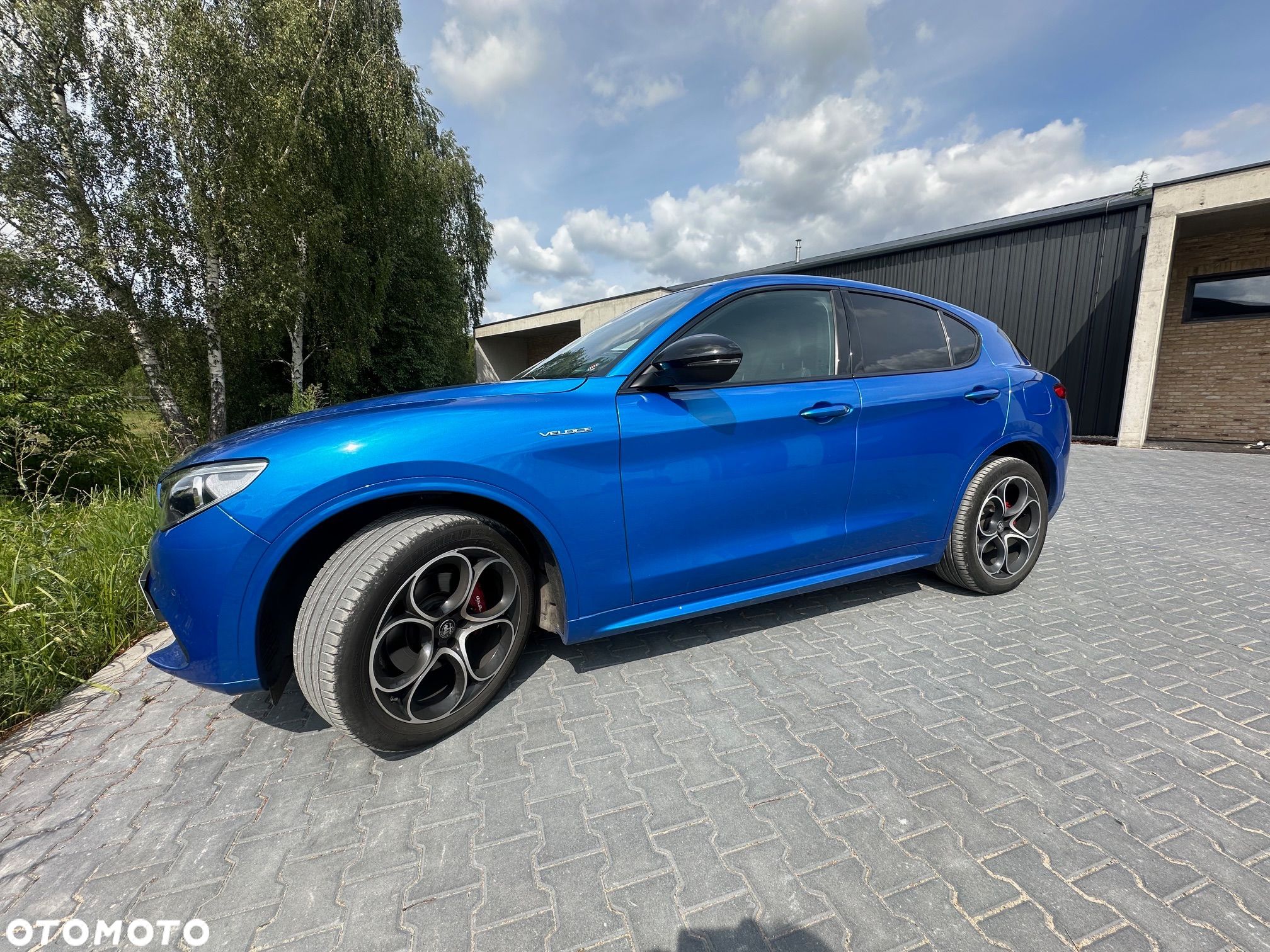 Alfa Romeo Stelvio 2.0 Turbo Veloce Q4 - 1