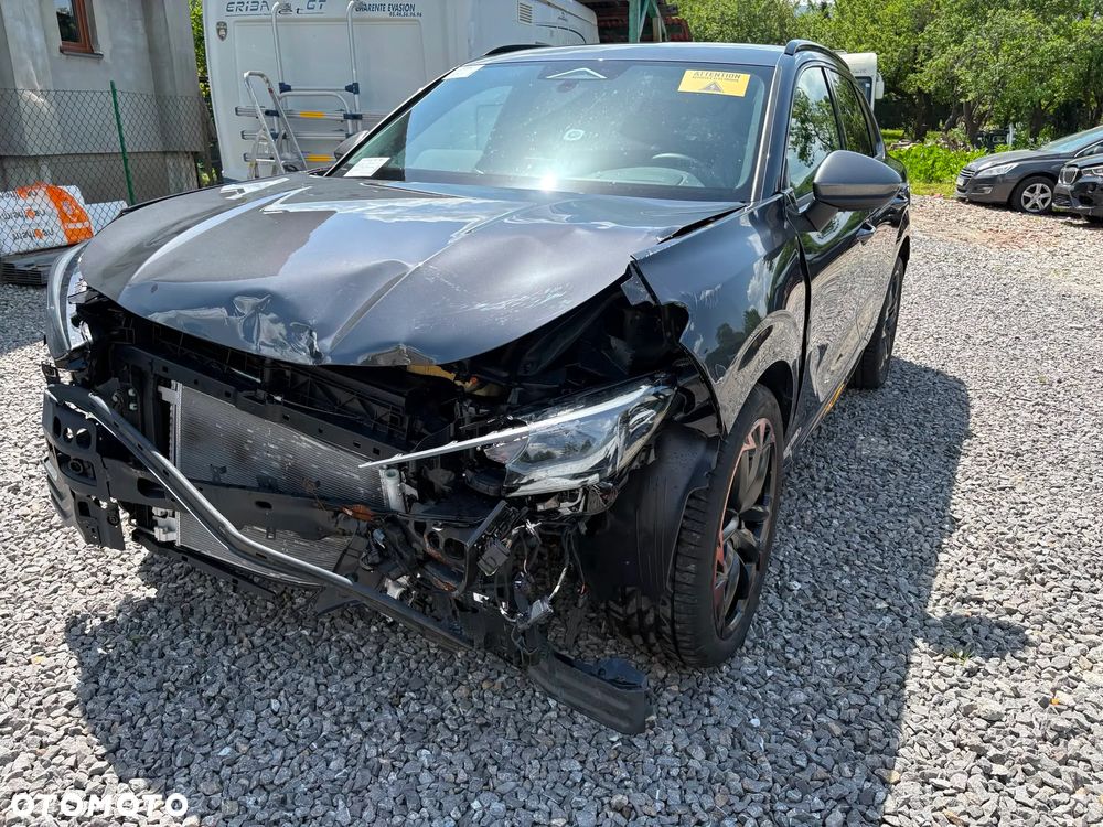 Cupra Terramar 1.5 eTSI DSG Tribe Edition - 17