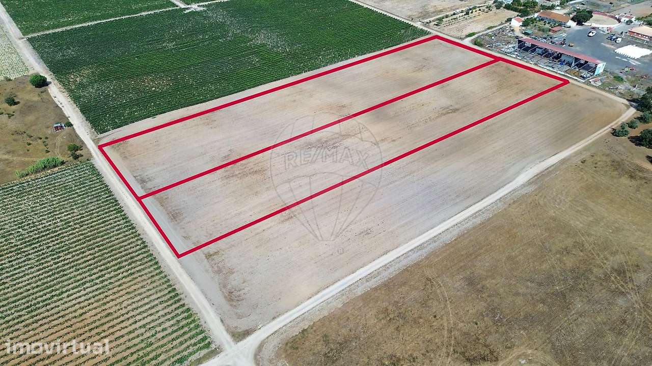 Terreno  para venda - Grande imagem: 4/4