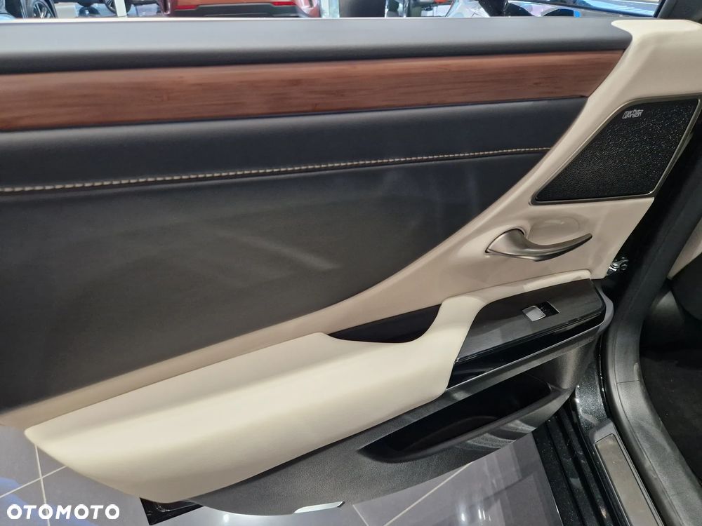 Lexus ES 300h Prestige - 20