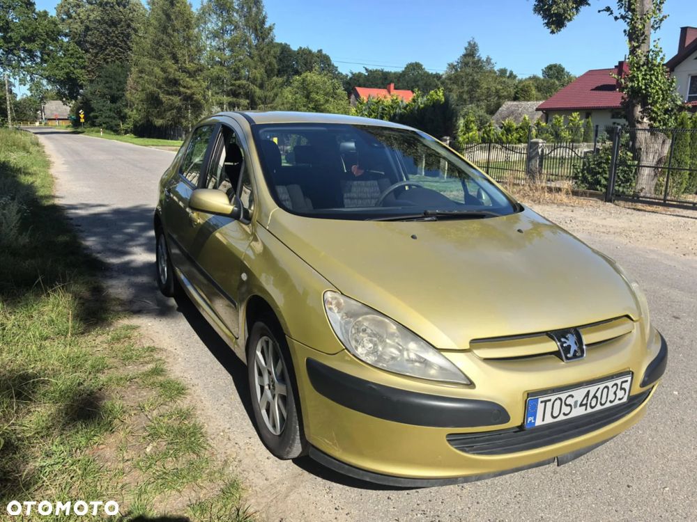 Peugeot 307 - 7