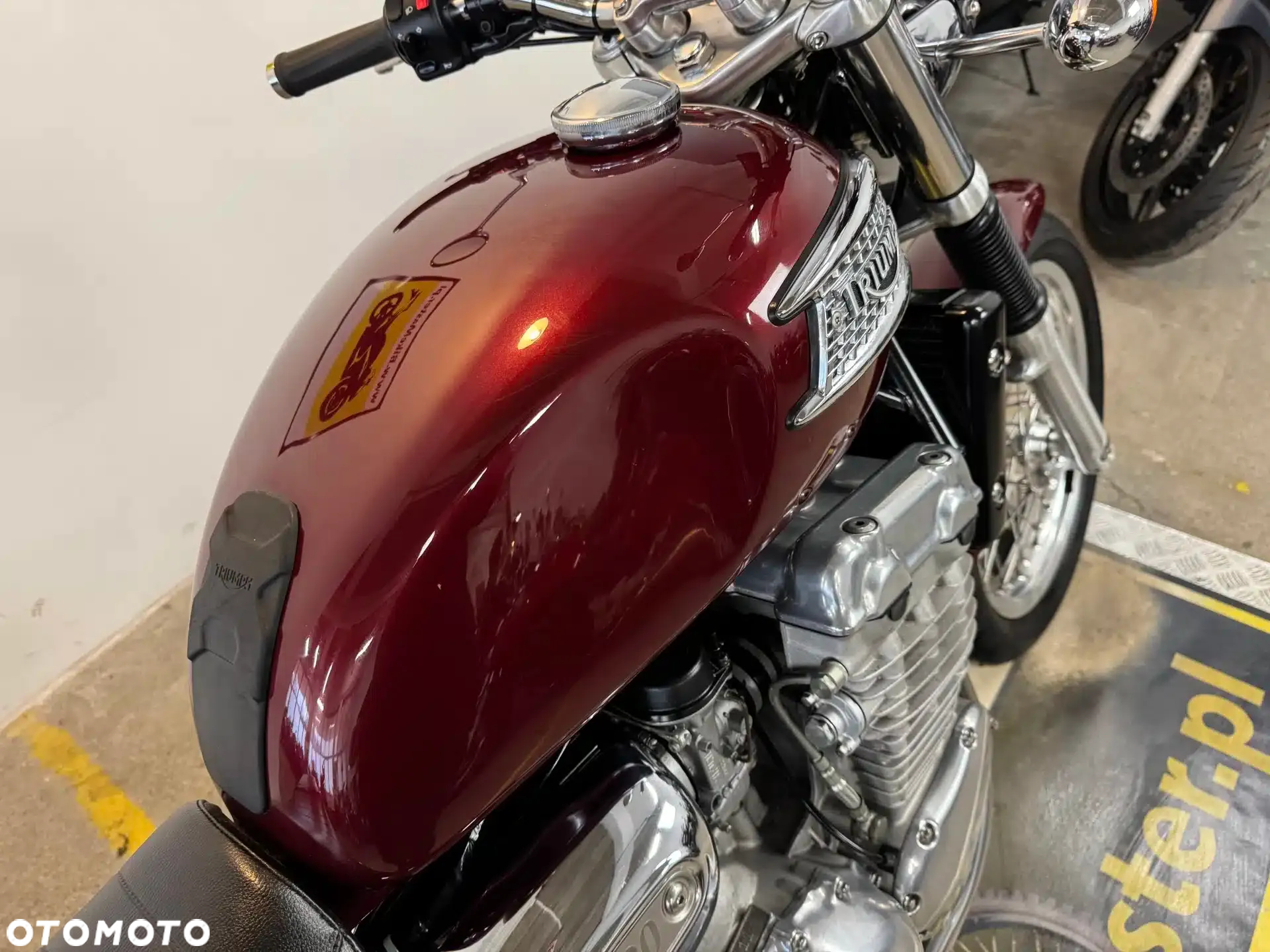 Triumph Thunderbird - 17