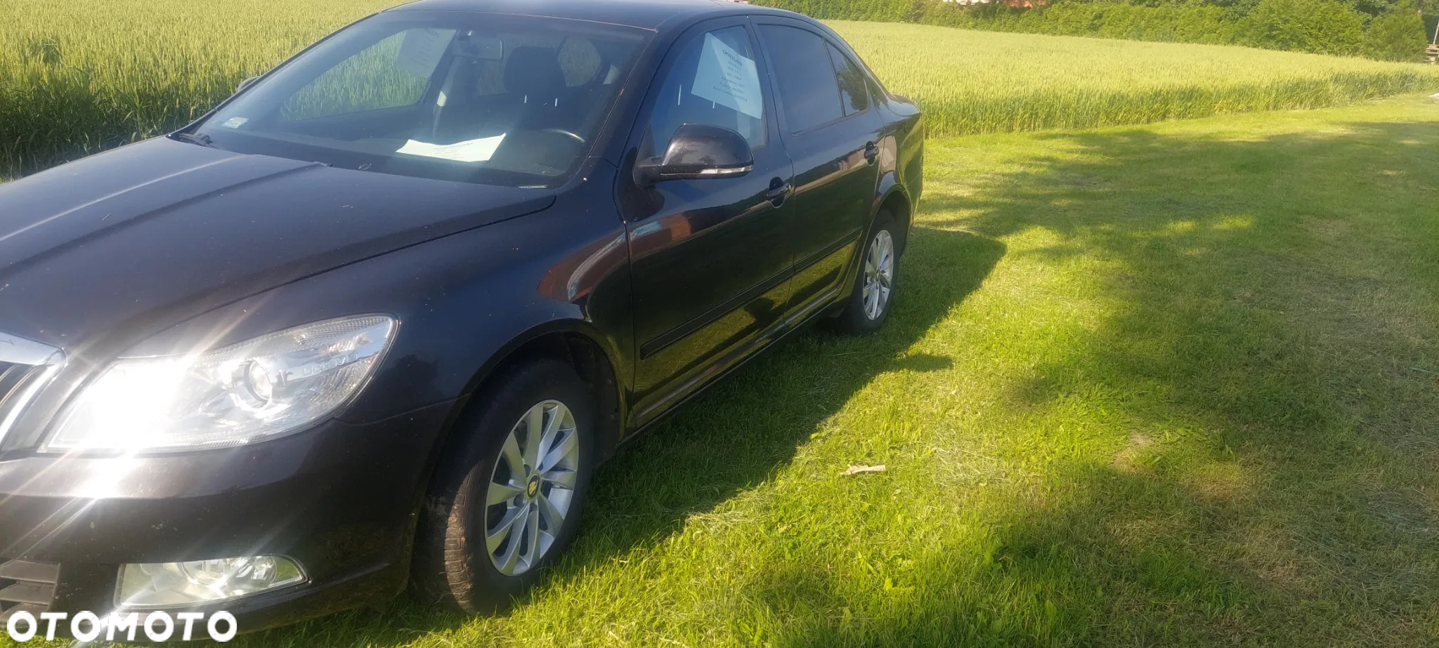 Skoda Octavia 1.8 T FSI Ambiente - 25
