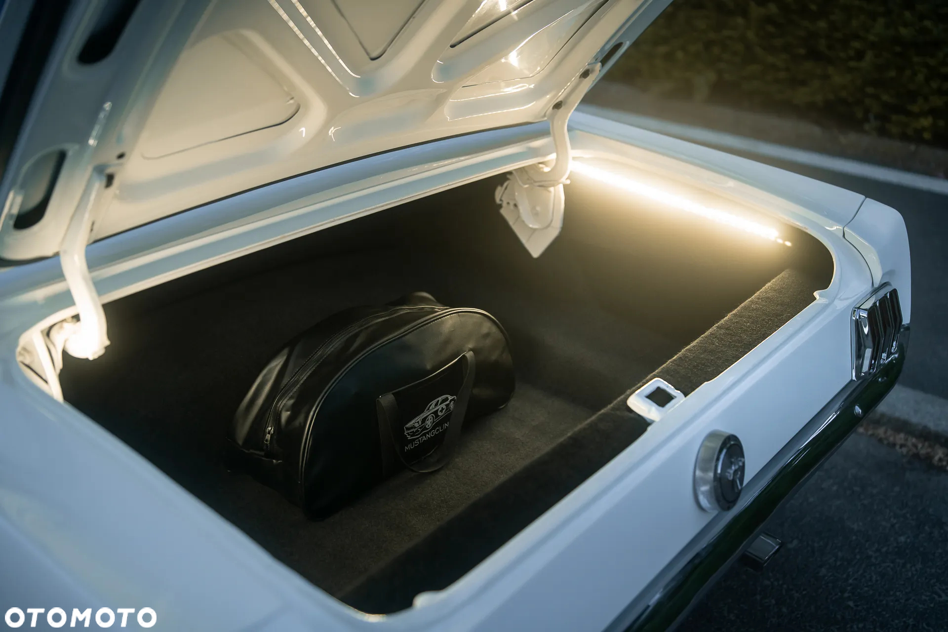 Ford Mustang - 33
