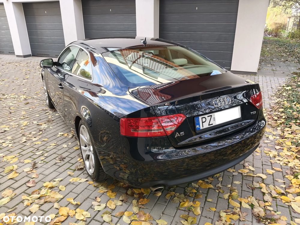 Audi A5 Coupé 2.7 TDI Multitronic - 38