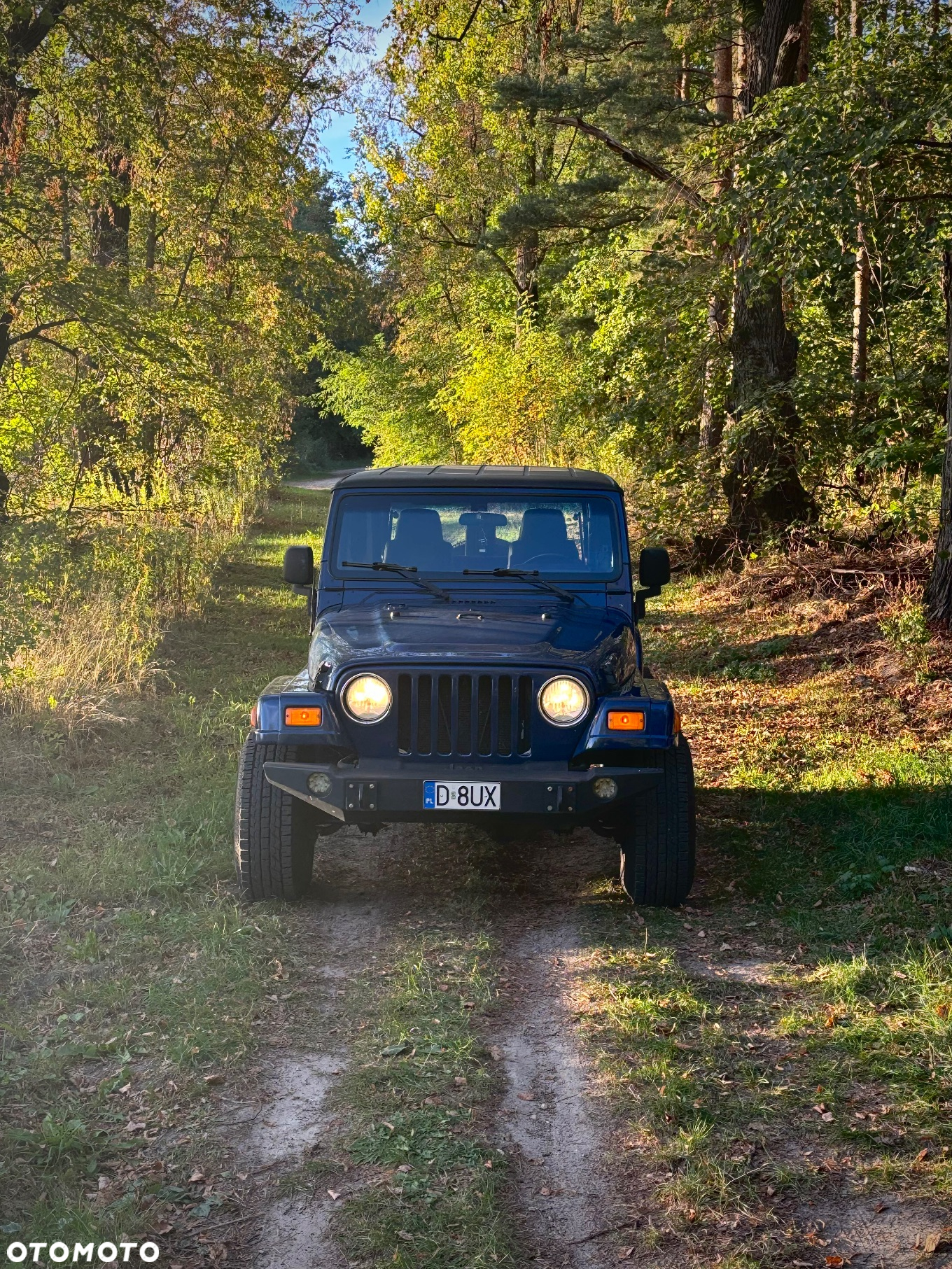 Jeep Wrangler 3.8 Sahara - 14