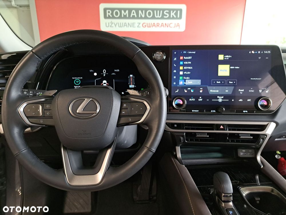 Lexus RX - 18