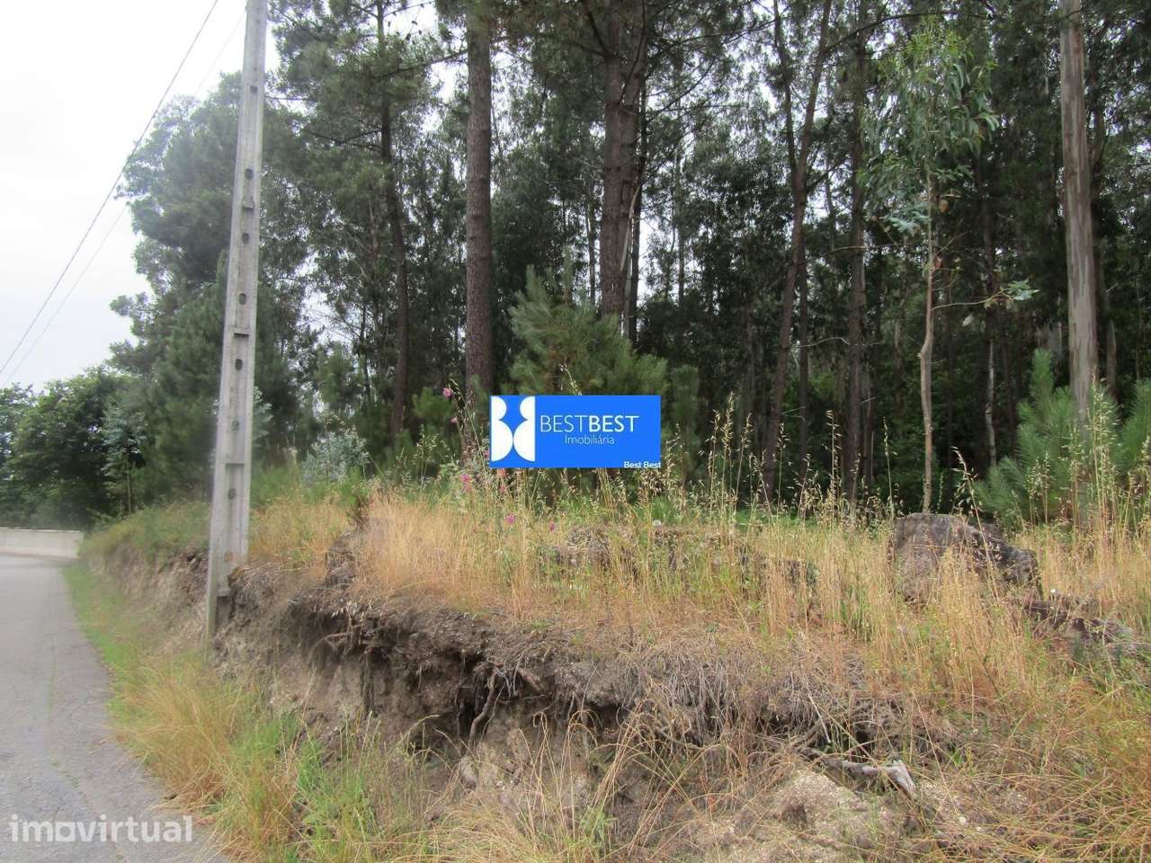 EXCELENTE TERRENO, C/6000 M2, JUNTO Á DIDAX EM CRUZ, FAMALICÃO - Grande imagem: 3/14