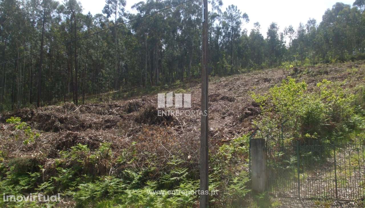 Terreno para venda, Reboreda, Vila Nova de Cerveira - Grande imagem: 5/7