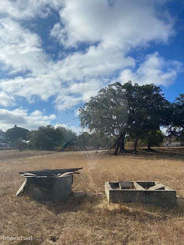 Quinta T0 para arrendamento - Grande imagem: 5/24