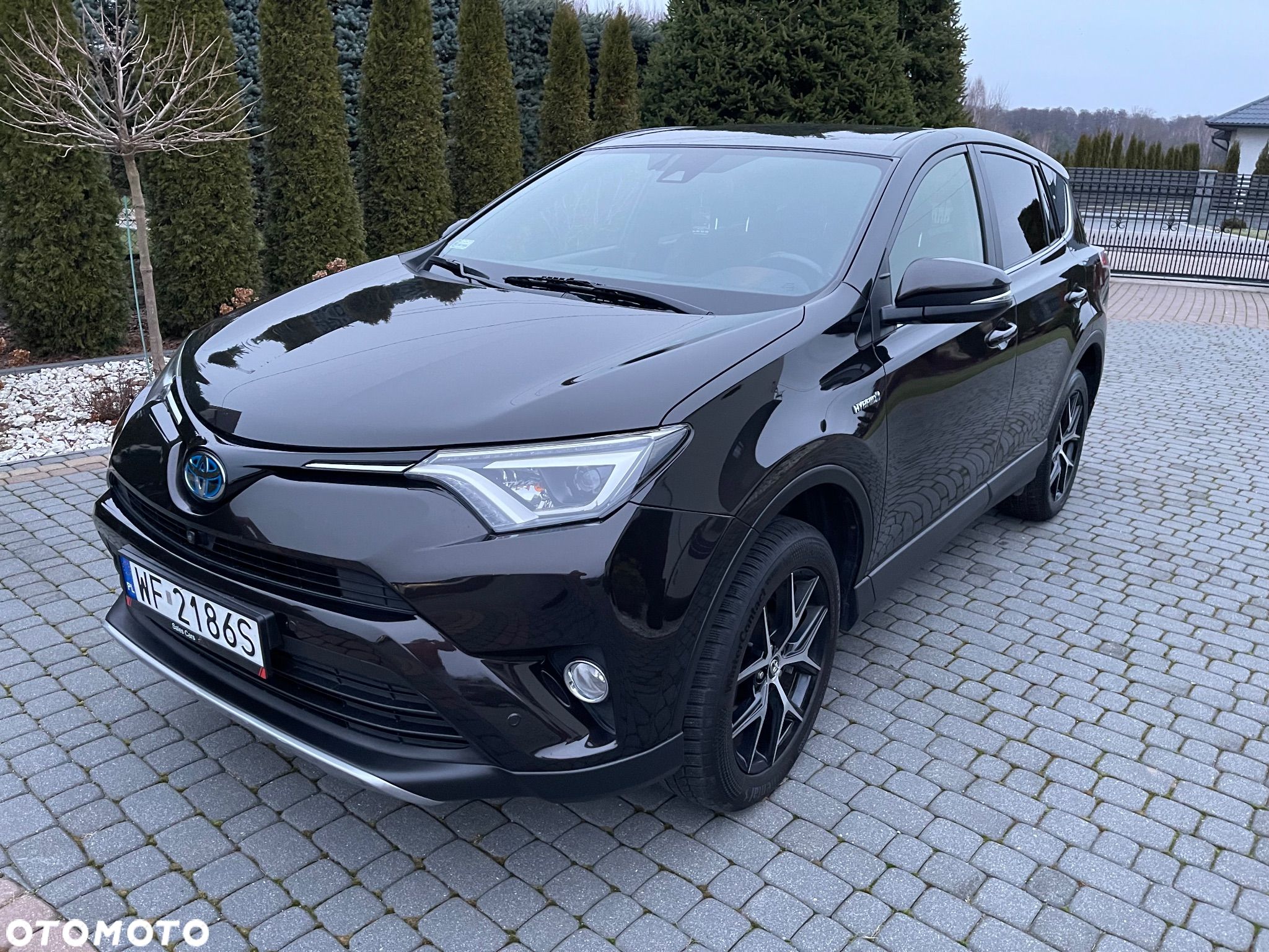 Toyota RAV4 Hybrid Prestige 4x4 - 1