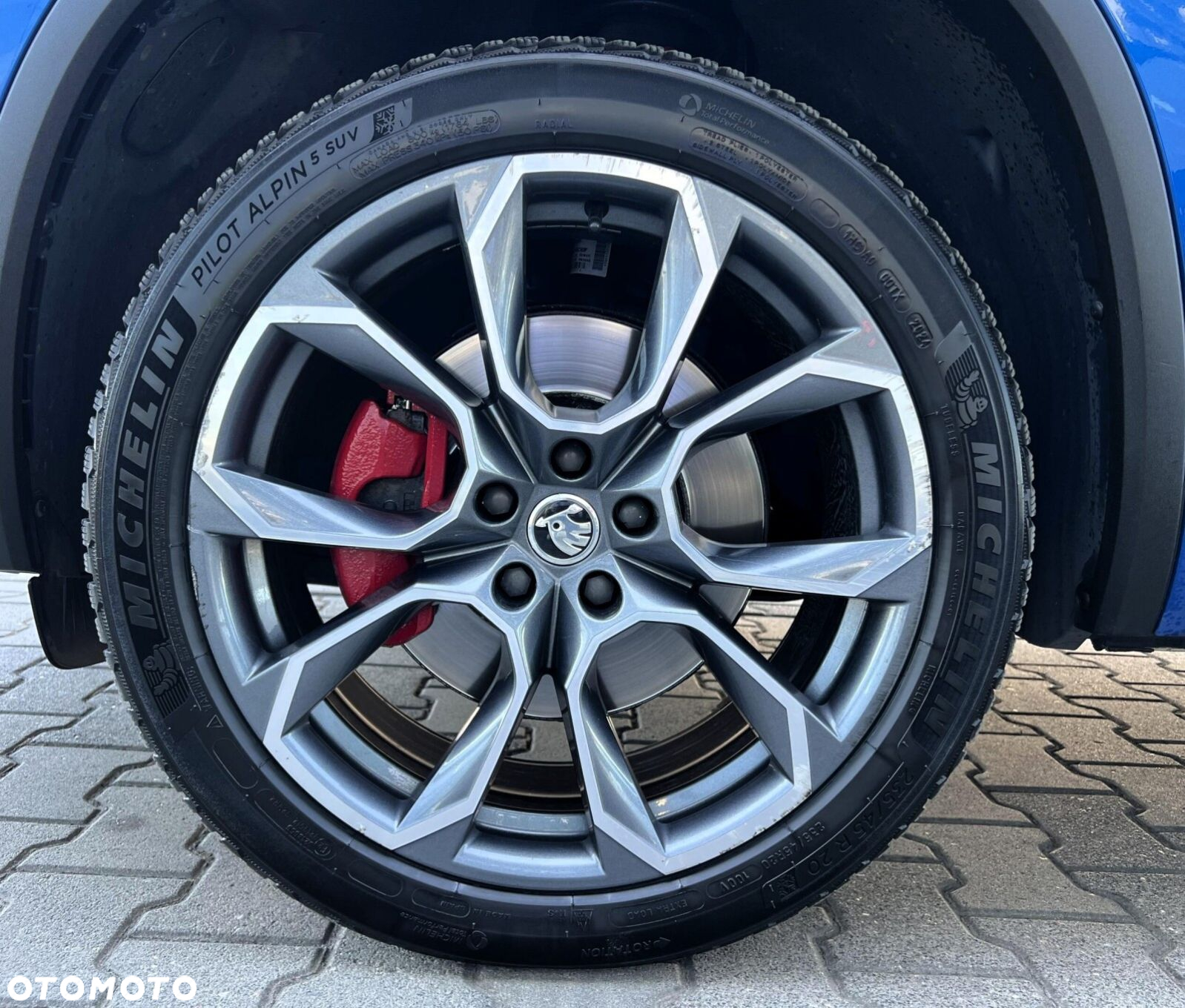 Skoda Kodiaq 2.0 Bi-TDI 4x4 RS DSG - 32