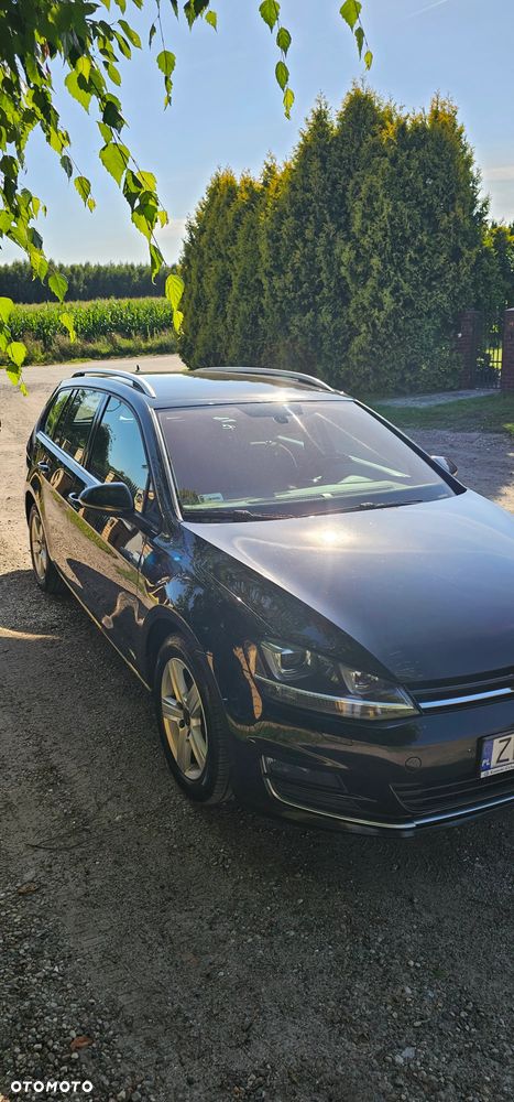 Volkswagen Golf 2.0 TDI BMT Highline DSG EU6 - 4
