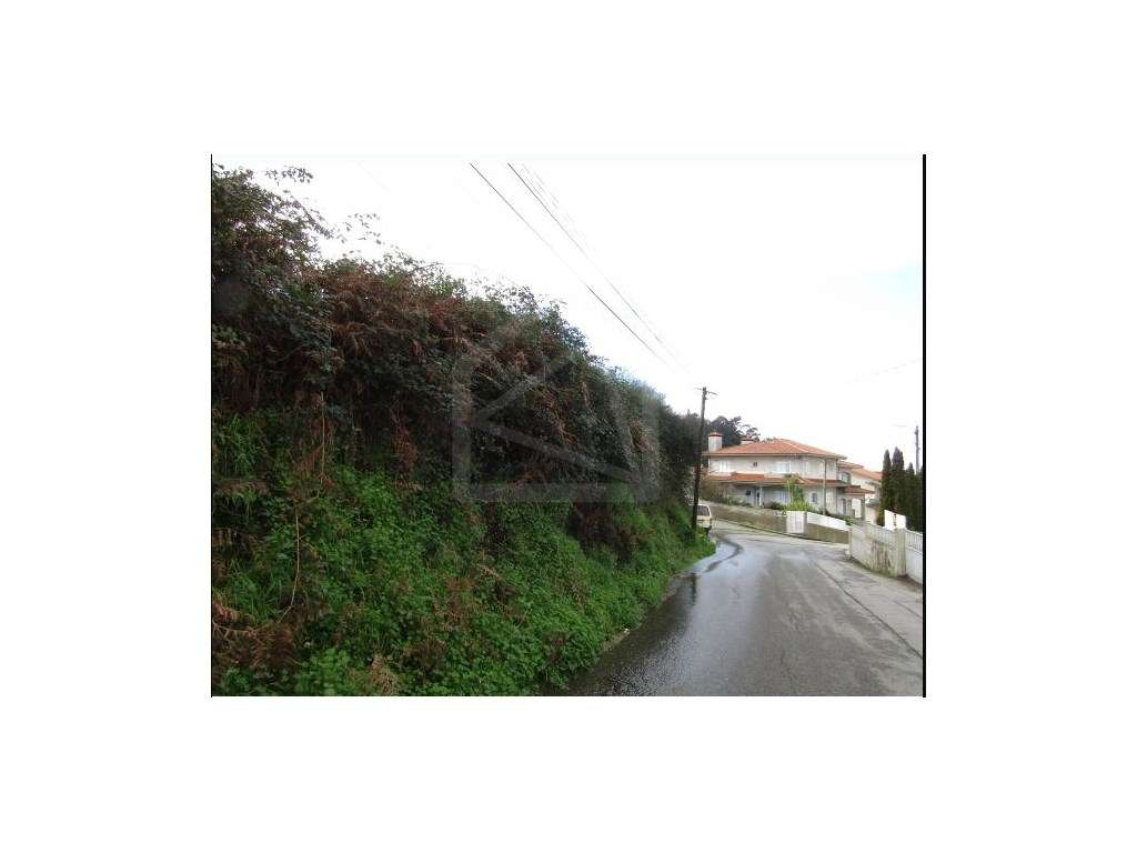 Terreno urbano em Nogueira da Regedoura - Grande imagem: 2/2