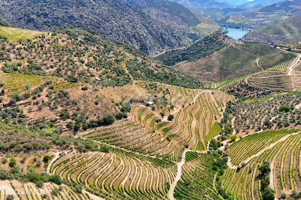 Terreno no Douro com 18.278 m² - Grande imagem: 4/20