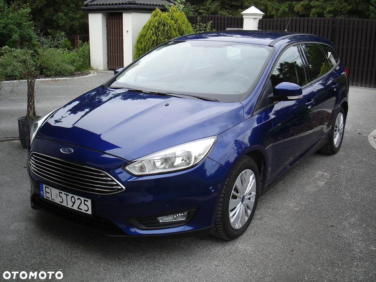 Ford Focus - 1