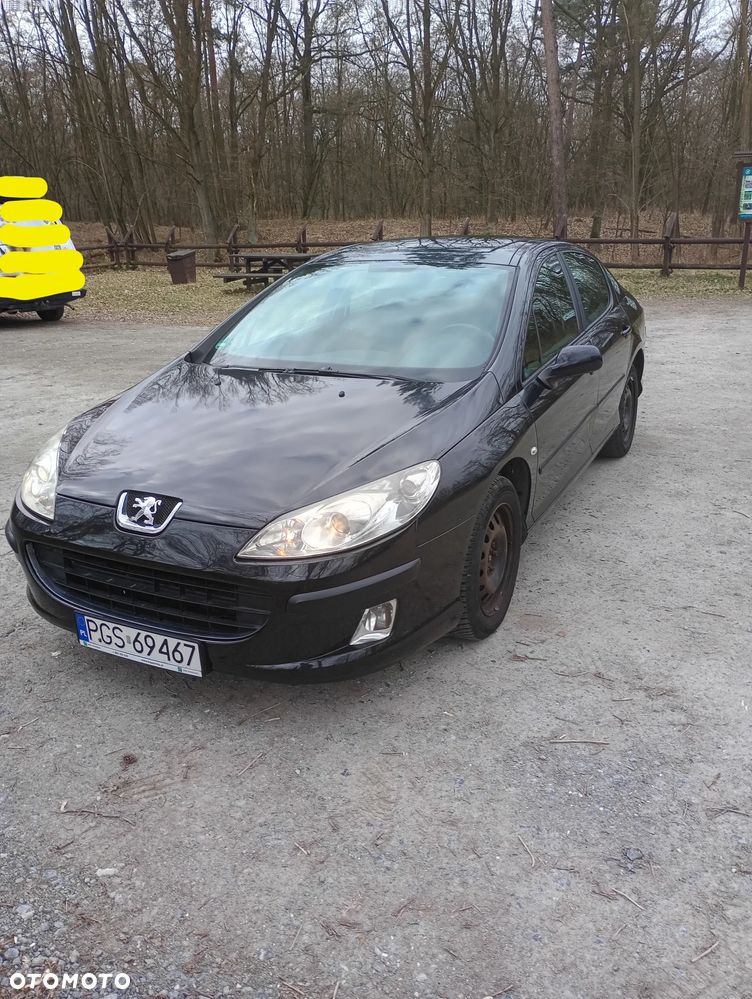 Peugeot 407 125 Tendance - 1
