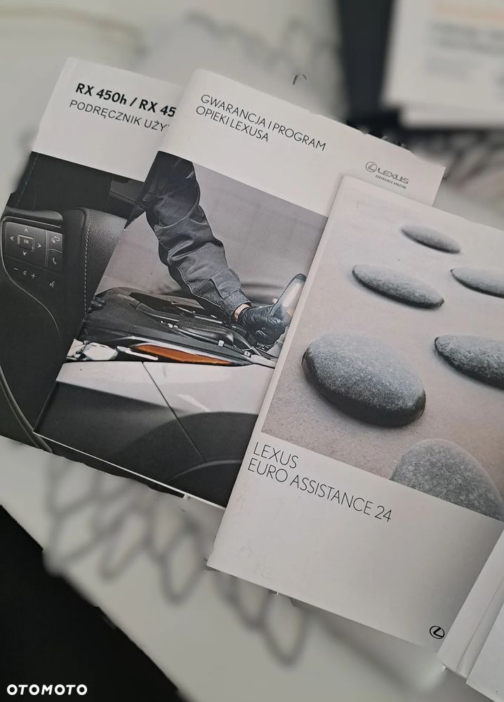 Lexus RX 450h F-Impression - 19
