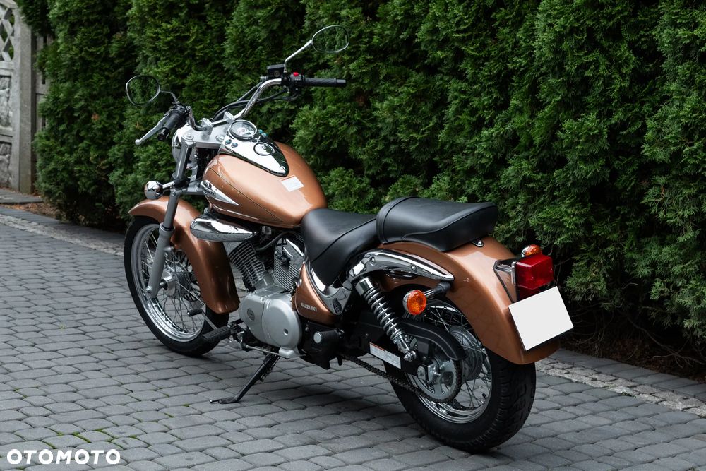 Suzuki Intruder - 6