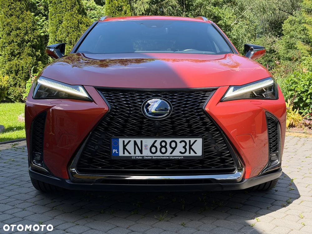 Lexus UX 250h GPF F Sport AWD - 7