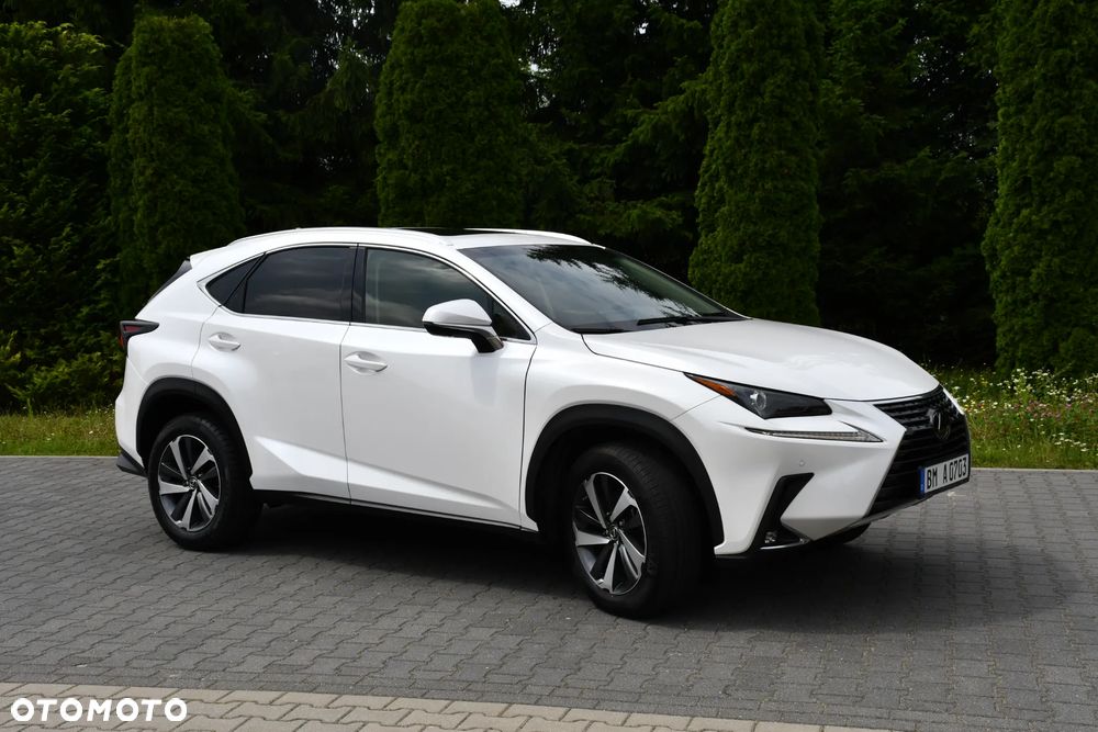 Lexus NX 300 Prestige AWD - 6