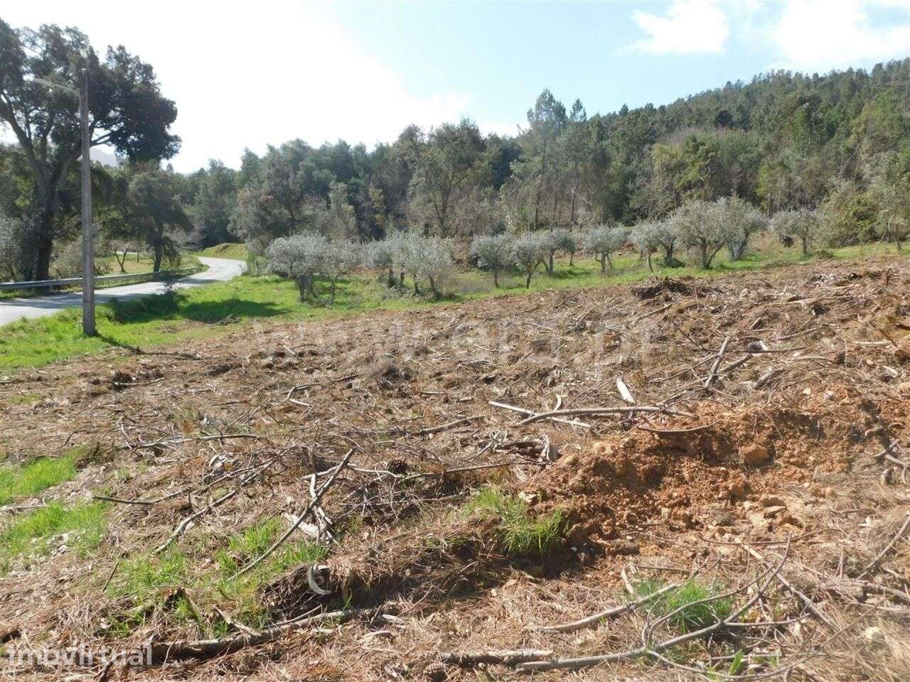 Terreno / Fundão, Souto da Casa - Grande imagem: 3/4