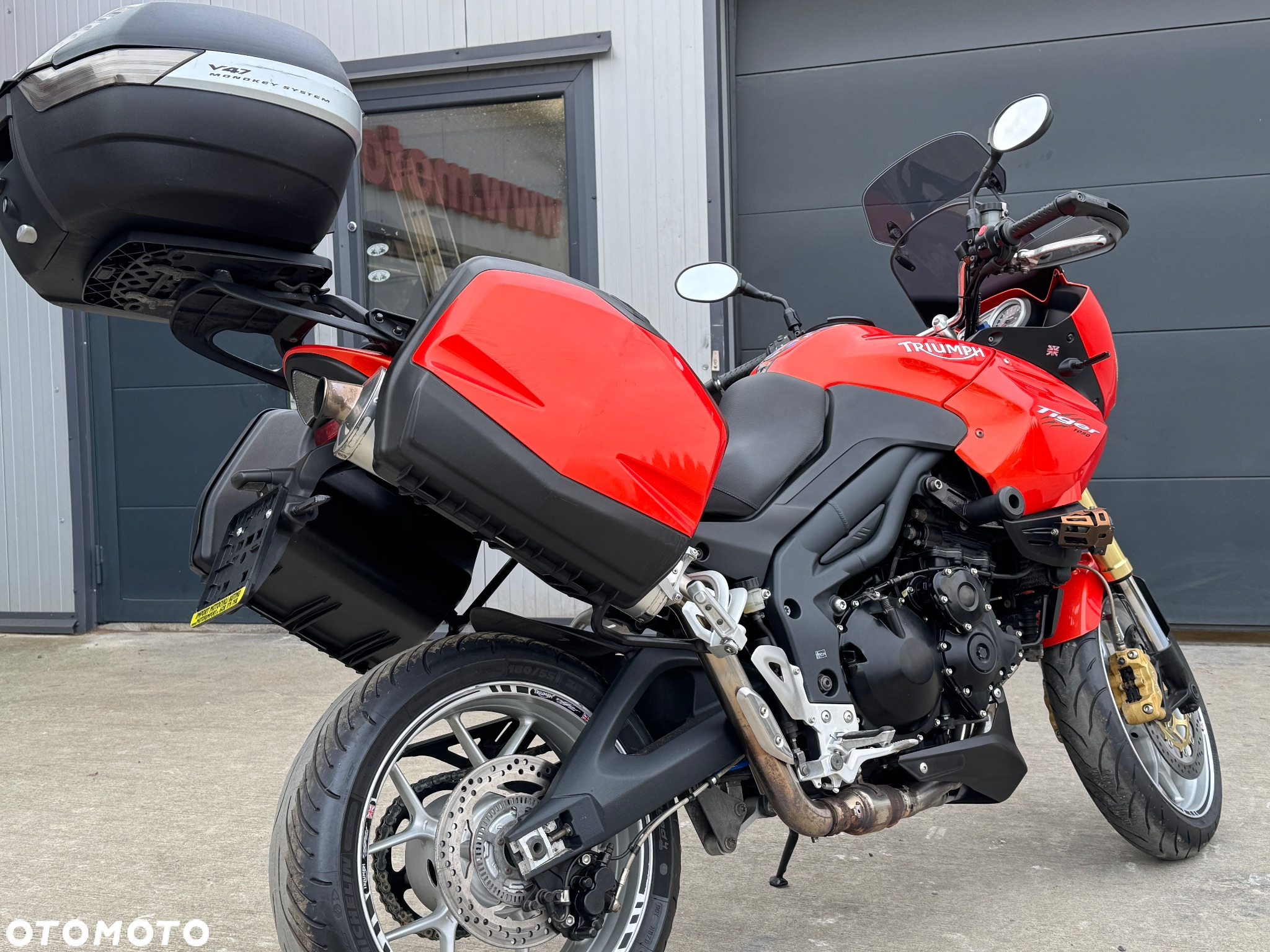 Triumph Tiger - 6