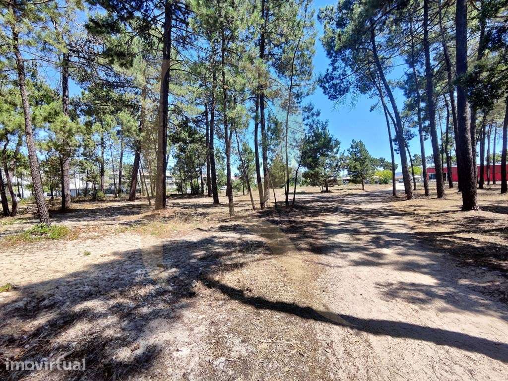 Venda conjunta de 105 lotes de terreno na Urbanização Pinhal de Neg... - Grande imagem: 5/26
