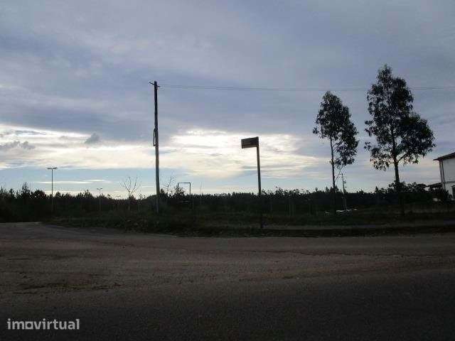 Terreno com 13.880 m² em Valongo do Vouga, Águeda  Excelente Oportu... - Grande imagem: 4/5
