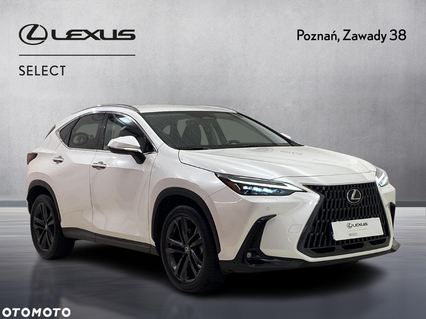 Lexus NX 350h Prestige AWD - 8