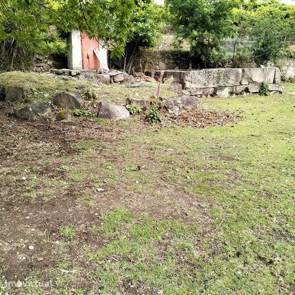 Quinta nas montanhas mágicas de São Pedro do Sul - Grande imagem: 5/12