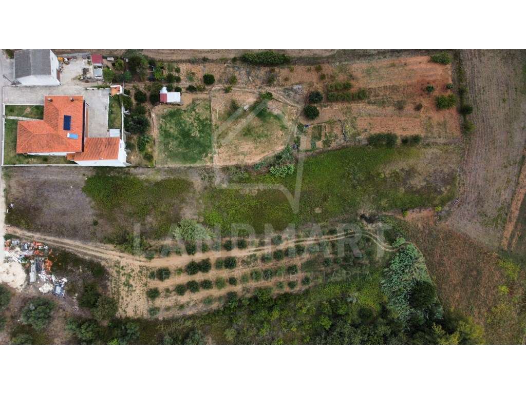 Terreno, Rua dos Brejos - Aljubarrota - Grande imagem: 2/4