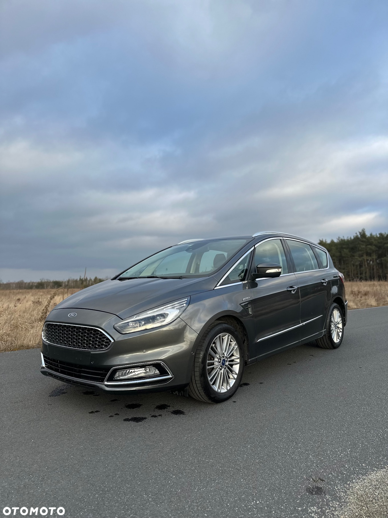 Ford S-Max 2.0 EcoBlue Vignale - 5
