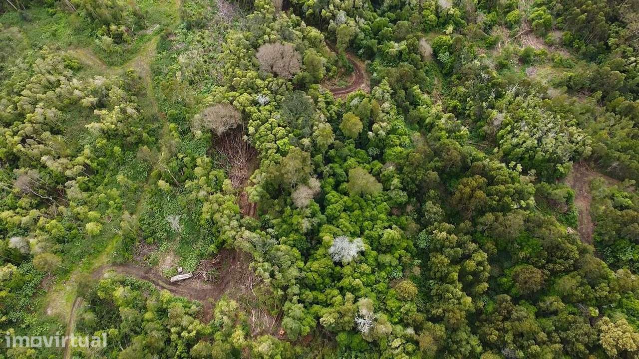 Vende-se terreno com 43.000 m2, localizado na Urzelina, concelho de Ve - Grande imagem: 3/9