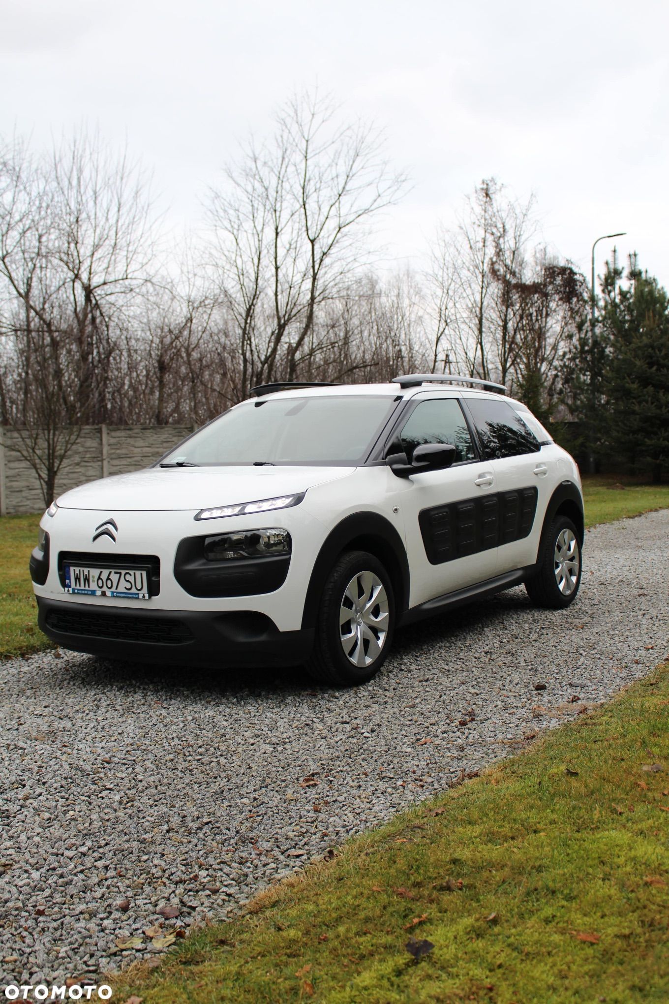 Citroën C4 Cactus - 1