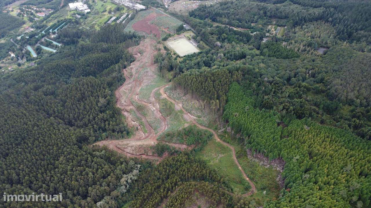 Terreno - Santo António da Serra - Santa Cruz - Grande imagem: 5/20