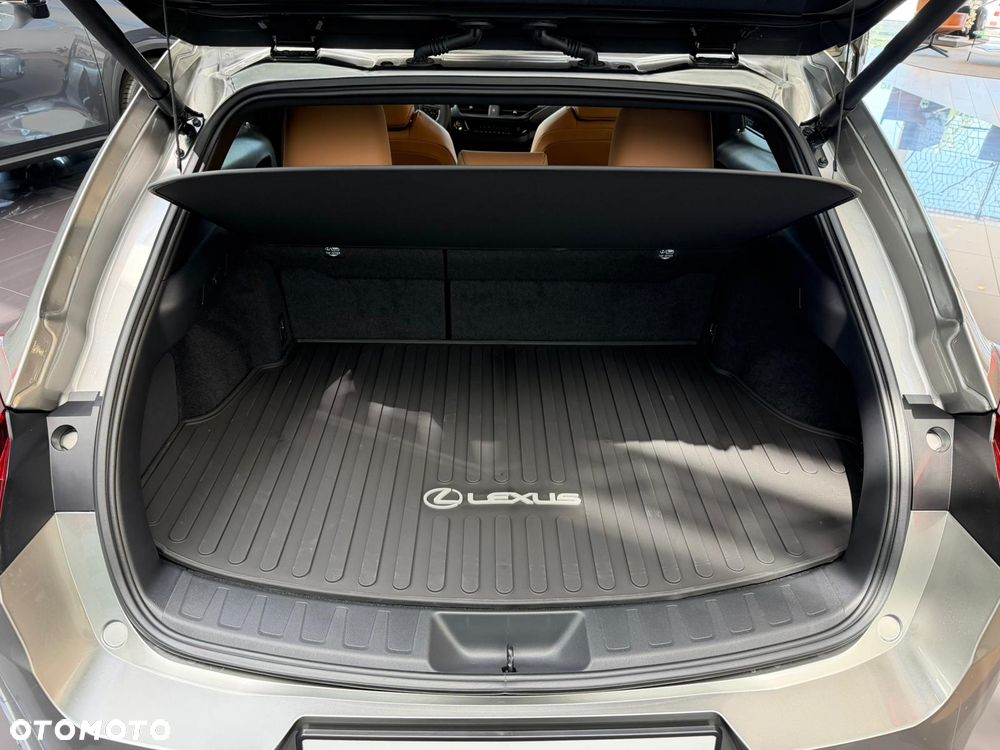 Lexus UX 300h F Sport Design - 7