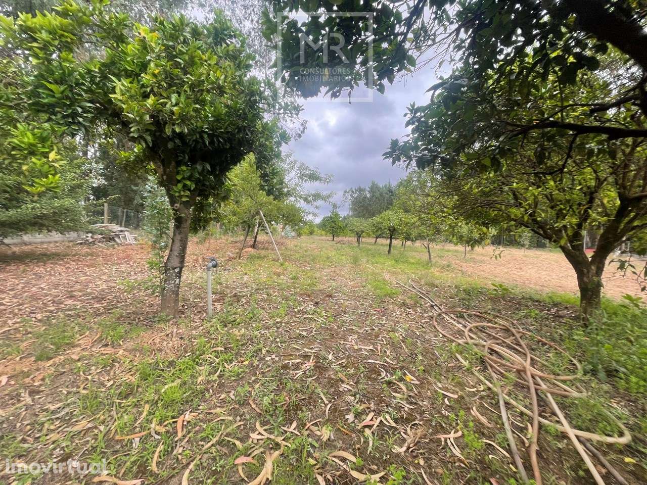 Terreno Rústico  Venda em Avelãs de Caminho,Anadia - Grande imagem: 3/6