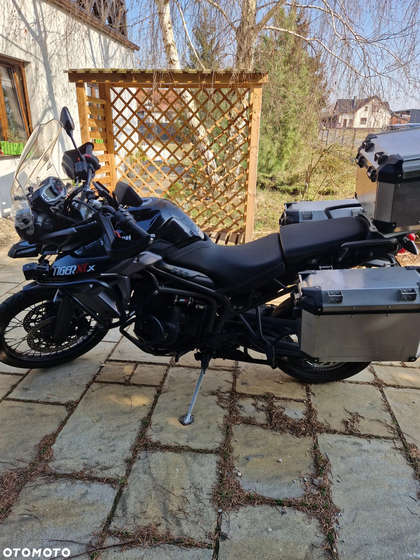 Triumph Tiger - 6