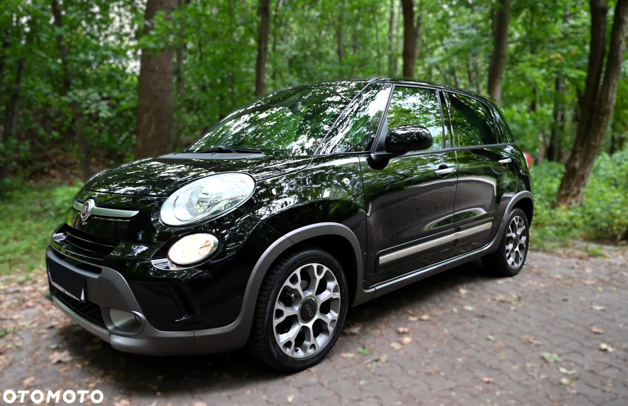 Fiat 500L - 12