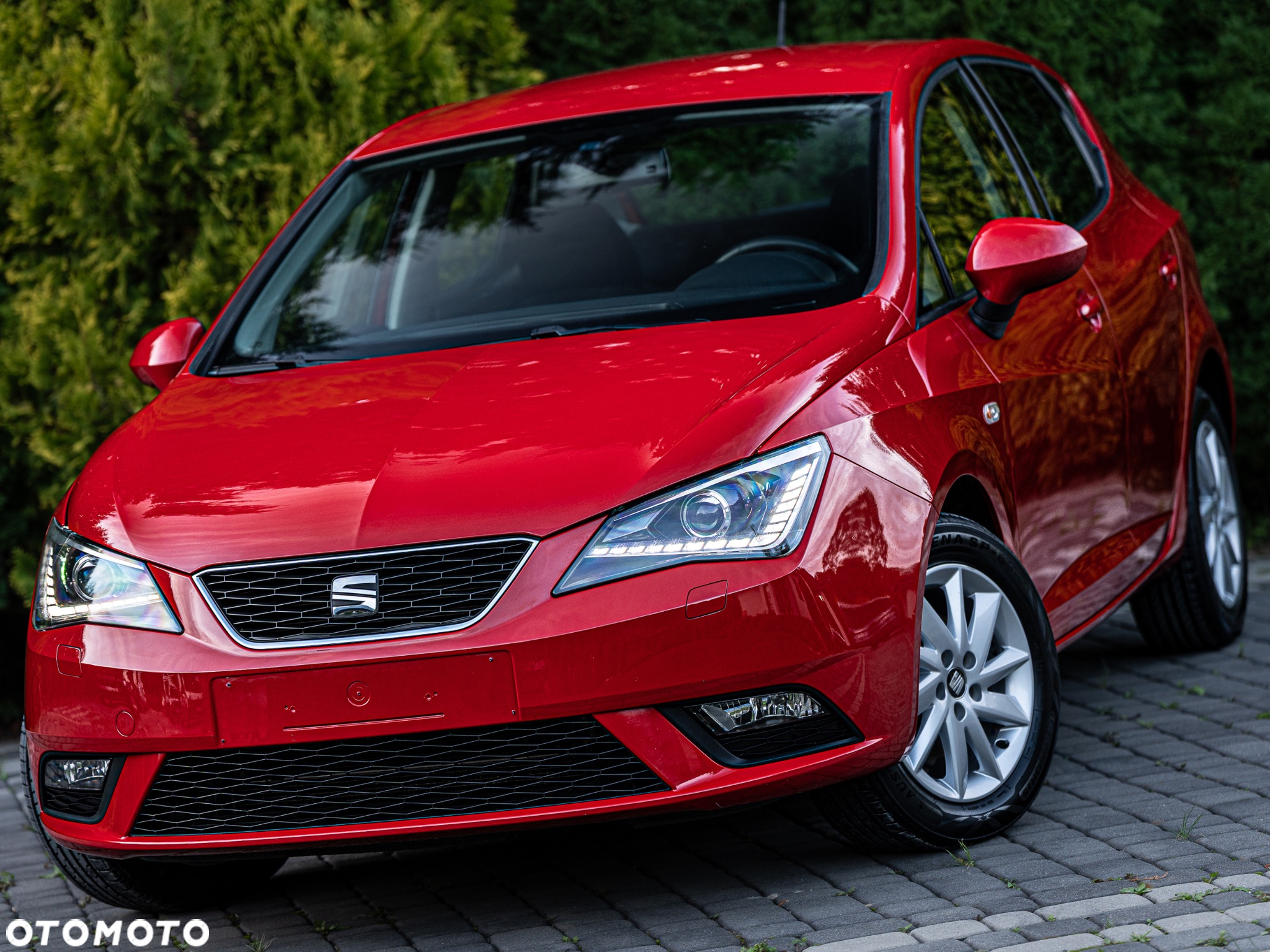 Seat Ibiza 1.2 TSI Style Salsa - 2