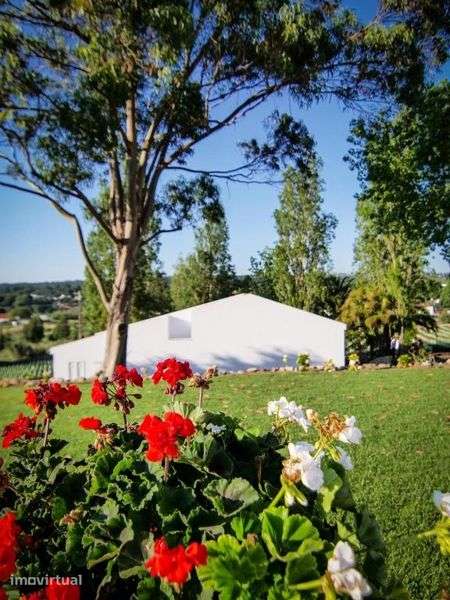 Moradia em Colares T3 com piscina - Grande imagem: 2/12