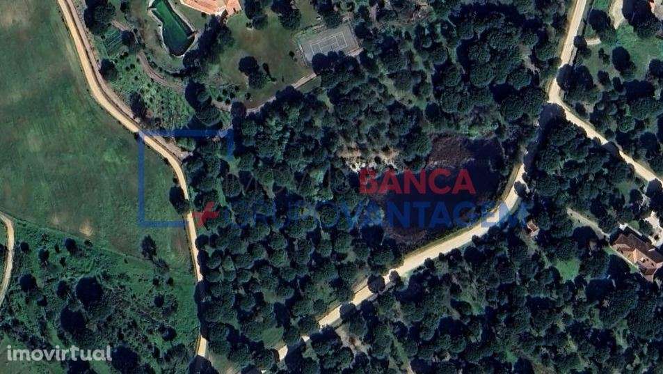 Terreno Rústico em Santo Estevão/ Benavente - Grande imagem: 2/2